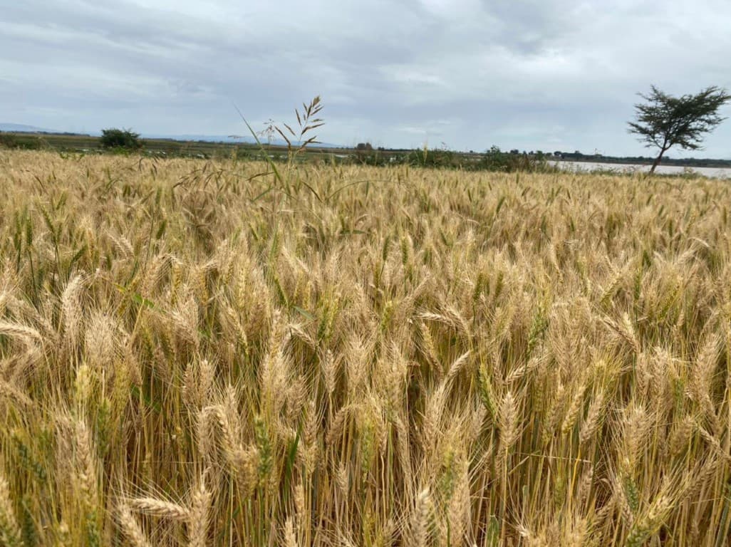 Integrated farming approach